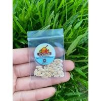 ราคา เมล็ดพันธุ์แตงไทยลูกกลม ขายเป็นเมล็ด เหมาสำหรับเพาะปลูก ซองละ 29 บาท (22925848898)