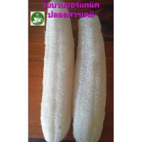 ราคา ใยบวบขัดผิวลูกใหญ่ยาวและขาวสะอาดบวบออร์แกนิคไม่มีสารเคมีเจือปน (41274293901)