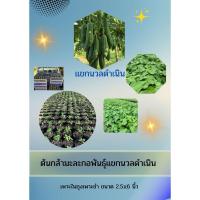 ราคา ต้นกล้ามะละกอแขกนวลดำเนิน (44351133792)