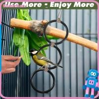 ราคา SHANCHAN แหวนปีนเขางู, Interactive Enrichment Toy Ball Python Enrichment, ทําความสะอาดง่ายทนทานสัตว์เลื้อยคลานของเล่นสัตว์เลี้ยงสัตว์เลื้อยคลานถัง (46808893972)