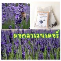ราคา เมล็ดพันธุ์ ดอกลาเวนเดอร์ Lavenders ลาเวนเดอร์ (ซื้อ 10 แถม 1 คละอย่างได้) (5919736445)
