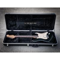 ราคา Fender Standard Mexico 2012 (16167112000)