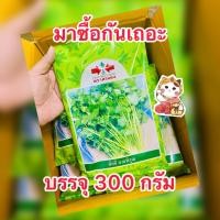 ราคา เมล็ดพันธุ์ผักชีสายพิรุณ ตราศรแดง บรรจุ300g/ซอง (49806260882)