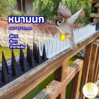 ราคา ที่กันนก หนามไล่นกพิราบ หนามกันนก หนามนก อุปกรณ์ไล่นก ไล่แมว หนามกันนกเกาะ bird thorn (19532838144)