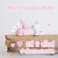 ราคา MS0009 กระต่ายจิ๋วสีขาว-สีชมพู ตุ๊กตาจิ๋วแต่งกระถาง ตุ๊กตากระต่ายน่ารัก * ถ่ายจากสินค้าจริง-จากไทย-ชุดสุดคุ้ม (5533613498)
