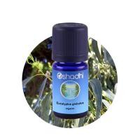 ราคา Oshadhi - Eucalyptus globulus organic essential oil 10 ml (8827510181)
