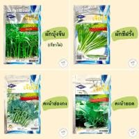 ราคา เมล็ดพันธุ์ผัก(ซอง) ผักบุ้งจีนเรียวไผ่ ผักชีฝรั่ง คะน้าฮ่องกง คะน้ายอด ตราเครื่องบิน เจียไต๋ (9918215719)