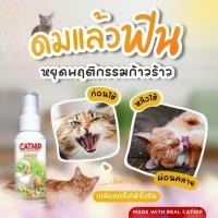 ราคา CATNIP สเปรย์หญ้าแคทนิป สเปรย์แมวเคลิ้ม สารสกัดจากพืช แคทนิป (19394211633)