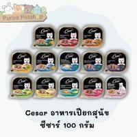 ราคา Cesar อาหารเปียกสุนัข ซีซาร์ 100 กรัม (5379532602)