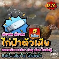 ราคา เสียงต่อไก่ป่าตัวเมีย V.3 ตอดสลับกระต๊าก ยั่วๆ เรียกไก่ตัวผู้ เมม แฟลชไดรฟ์ ไม่มีโฆษณา มีเก็บเงินปลายทาง (3677928621)