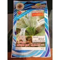 ราคา เมล็ดคะน้าไดโนเคล ผักคะน้า ผักเคล kale คะน้า เมล็ดผัก เมล็ดพันธุ์ ตรา สี่ทิศ 4ทิศ (7340257967)