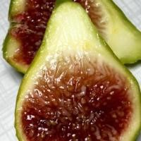 ราคา 10 เมล็ด มะเดื่อฝรั่ง Figs สายพันธุ์ Bayer Violeta มะเดื่อฝรั่ง ลูกฟิก (10816818819)