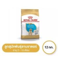 ราคา Royal Canin Labrador Retriever Puppy 12 kg โรยัล คานิน อาหารลูกสุนัข พันธุ์ลาบราดอร์ รีทรีฟเวอร์ (21501714346)