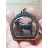 ราคา เครื่องรางแพะเขาควายหลวงพ่ออ่ำวัดหนองกระบอกพร้อมกรอบ (55057806331)