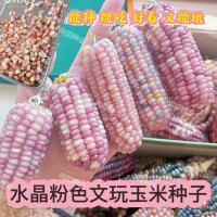 ราคา ผงคริสตัลข้อความเล่นข้าวโพดจับชิ้นที่มีสีสันขนาดเล็กข้าวโพด (47209006299)