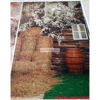 ราคา ผ้า3ง ฉากหลังขนาด100x150ซมพิมพ์ด้วยฟิล์มเด่นสตูดิโอ สําหรับ6249<แถมตะขอ+กิ๊บแขวน> (26692698554)