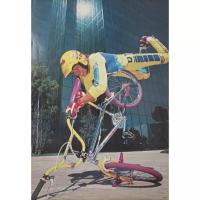 ราคา โปสเตอร์ รุ่นเก่า จักรยาน Bicycle BMX GT เล่นท่า ผาดโผน รูปภาพ หายาก ติดผนัง สวยๆ poster 30x20.5นิ้ว(76x52ซม. โดยประมาณ) (23745787142)