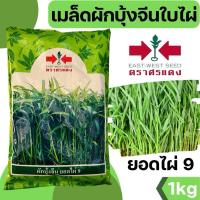 ราคา เมล็ดผักบุ้งจีน ยอดไผ่9 ตราศรแดง 1kg (58007707354)