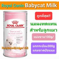 ราคา Royal Canin Babycat Milk นมผงแมว ยกระป๋อง 300g แบ่งขาย 100g นมผงทดแทนนมแม่ สำหรับลูกแมวแรกเกิด - หย่านม (17896422899)