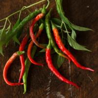 ราคา 20 เมล็ด พริก พริก ปลูก 120 วัน ออกผล pepper seeds สายพันธุ์ Cayenne Pepper (41023792790)