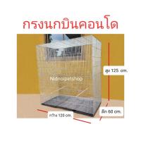 ราคา กรงนกบินคอนโด กรงเพาะนกซันคอนัวร์ ค็อกคาเทล กรีนชิค แอฟริกันเกรย์ นกแก้วไคท์ หรือจะเลี้ยง เลิฟเบิร์ด (16685924957)