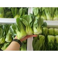 ราคา เบบี้ฮ่องเต้ (กวางตุ้งไต้หวัน)สดใหม่ นำเข้าจากจีน (24951886686)