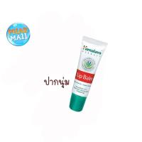 ราคา Himalaya Lip Balm ลิปบาล์มหิมาลายา 10 g (9365169648)