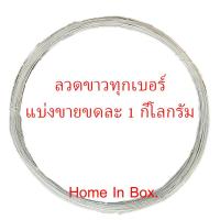 ราคา ลวดขาว ลวดชุบสังกะสี เบอร์ #16 #18 #24 #14 #22 ขนาดขดละ 1กิโลกรัม สำหรับงานก่อสร้างและเอนกประสงค์ มาตรฐานอุตสาหกรรม (4821551913)