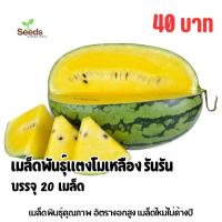 ราคา เมล็ดพันธุ์แตงโมเหลือง รันรัน บรรจุ 20 เมล็ด (45208230632)