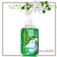 ราคา Bath & Body Works Gentle Foaming Hand Soap 259 ml. Lush Bamboo Waterfall (2328798538)