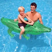 ราคา (INTEXแท้) แพเป่าลม แพยางเป่าลม แพยางเป่าลมจระเข้ Lil Gator Ride-On รุ่น 58546 (18929745294)