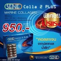 ราคา SENE Colla 2 PLUS PEPTIDE E COLLAGEN / MARINE COLLAGEN (5805117419)