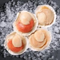 ราคา หอยเชลล์ฝาเดียว [1 KG./PACK] HALF SHELL SCALLOP (25301060097)