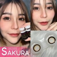 ราคา คอนแทคเลนส์ บิ๊กอาย รุ่น Sakura สีเทา/gray สีตาล/brown (27305817753)