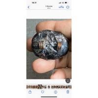 ราคา เบี้ยแก้หลวงปู่บุญวัดกลางบางแก้วเก่ามากๆ (29503573337)