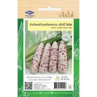 ราคา เมล็ดพันธุ์ ข้าวโพดข้าวเหนียวหวาน แว็กซี่ ไอริส ตราเจียไต๋ (26977949913)