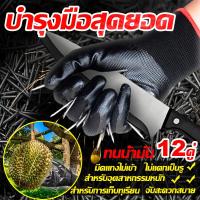 ราคา ข้อเสนอ‍ถุงมือผ้าเคลือบยาง ถุงมือ ถุงมือยาง ถุงมือทำสวน ถุงมือช่าง ถุงมือเคลือบยาง ถุงมือไนล่อน ถุงมือเคลือบยางไนไตร (58159547766)