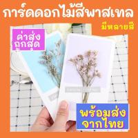 ราคา [ส่งด่วน1-2วัน] การ์ดดอกไม้แห้ง การ์ดอวยพรวันเกิด การ์ดปัจฉิม การ์ดอวยพรดอกไม้แห้ง ดอกไม้ตกแต่ง ของขวัญปัจฉิม (5084227415)