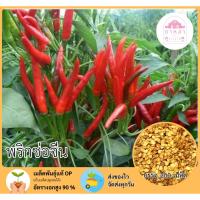 ราคา พริกช่อจีน 200 เมล็ด (42669160781)