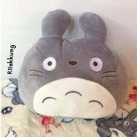 ราคา หมอนผ้าห่มโตโตโร่ (696894142)