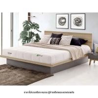 ราคา Koncept Furniture ที่นอนKC/DIONE-RT/ขนาด6ฟุต (182X198X21.5 ซม.) แบรนด์ KONCEPT FURNITURE (41079334400)