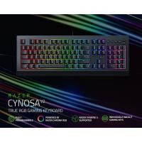 ราคา คีย์บอร์ดเกมมิ่ง Razer Cynosa V2: แสง Chroma RGB ที่ปรับแต่งได้ - ปุ่มเรืองแสงเป็นรายบุคคล (26617008256)