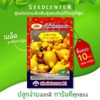 ราคา เมล็ดมะเขือการ์ตูน ตราภูเขาทองบรรจุ 50 เมล็ด (5327454891)