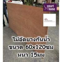 ราคา ไม้อัดยางกันน้ำ ขนาด 60x120ซม หนา 15มม - ไม้อัด อัดยาง ไม้อัดกันน้ำ กันชื้น อัดยางกันน้ำ ไม้อัดยาง (6851256159)