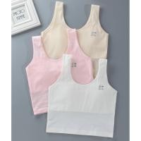 ราคา Walibabyพร้อมส่งเสื้อซับในเด็กผู้หญิง ผ้าซับ 2 ชั้นแบบสวม เด็กอายุ 8-10 ปี ขนาดฟรีไซส์ #D8839 (24642576605)