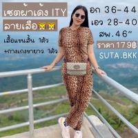 ราคา เซตขาสั้นสาวอวบ เซตเสือ เซตลายเสือสาวอวบ เซตITY เซตผ้าเด้ง ชุดเซต ชุดนอน ชุดเซตขายาว สาวอวบอ้วน เสื้อผ้าสาวอวบ (6694382962)