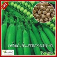 ราคา 30 เมล็ด ลันเตาหวานมรกต เมล็ดถั่วลันเตาหวานมรกต (3053945457)