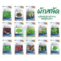 ราคา เมล็ดพันธุ์ผักสลัด กรีนโอ๊ค เรดโอ๊ค ฟิลเล่ย์ บัตเตอร์เฮด ปารีสไวท์คอส เบบี้คอส สลัดแก้ว ผักกาดหอมอิตาลี เรดคอรัล (40527763063)