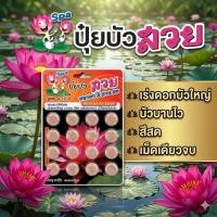 ราคา ปุ๋ยบัวเม็ด สูตร4-12-4 น้ำใสปลาไม่ตาย เร่งดอกดกดอกใหญ่ สีสด บานทนทาน กลีบหนา บำรุงบัว ปุ๋ยบัว16เม็ด (51208251907)