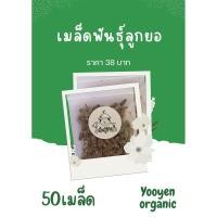 ราคา เมล็ดพันธ์ุลูกยอ50เมล็ด58บาท (23652120525)